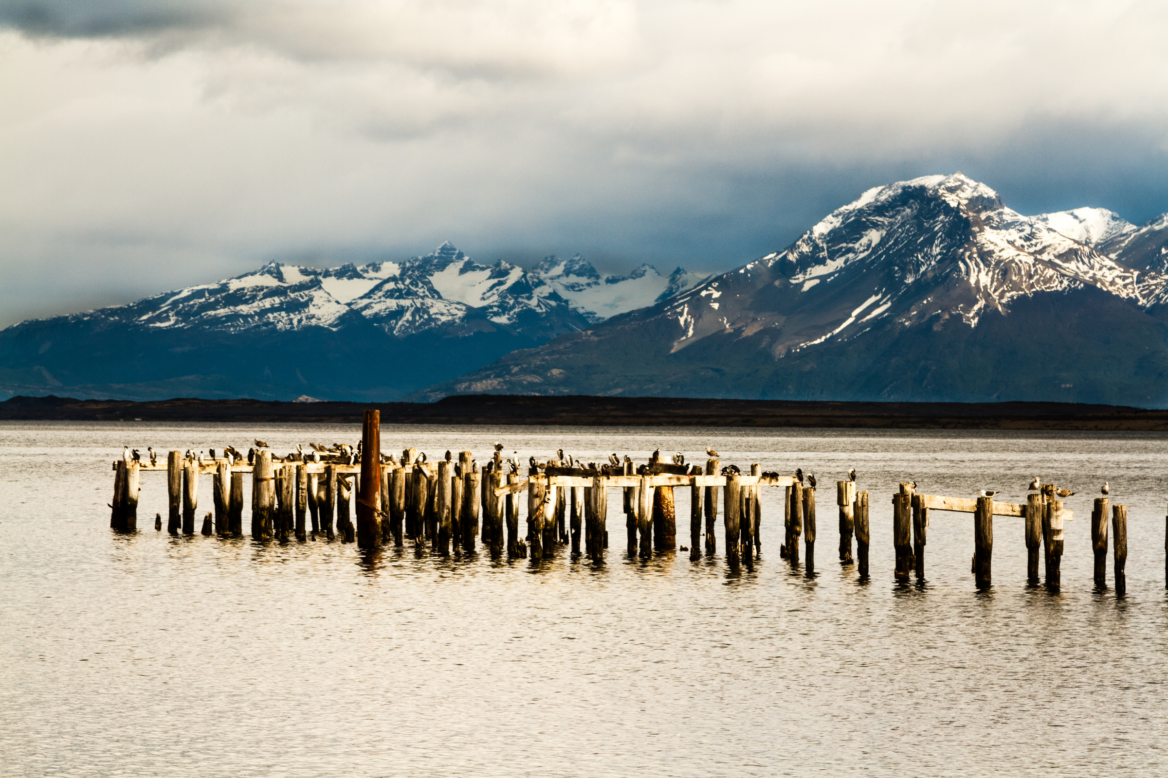 montanas fjord (4).webp